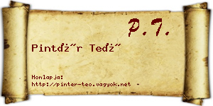 Pintér Teó névjegykártya